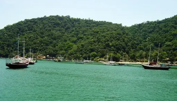 Ilha de Itacuruça 5